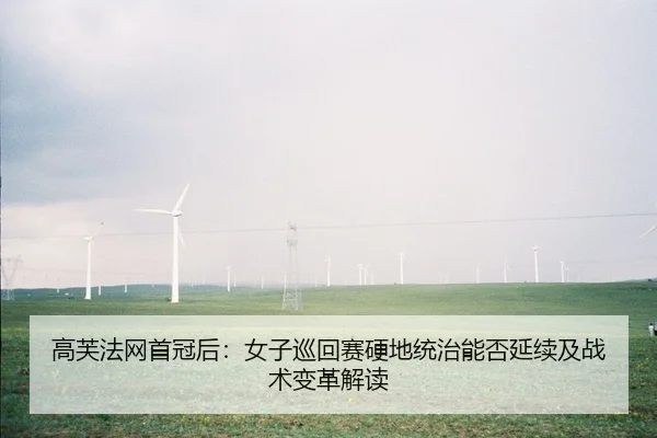 高芙法网首冠后：女子巡回赛硬地统治能否延续及战术变革解读